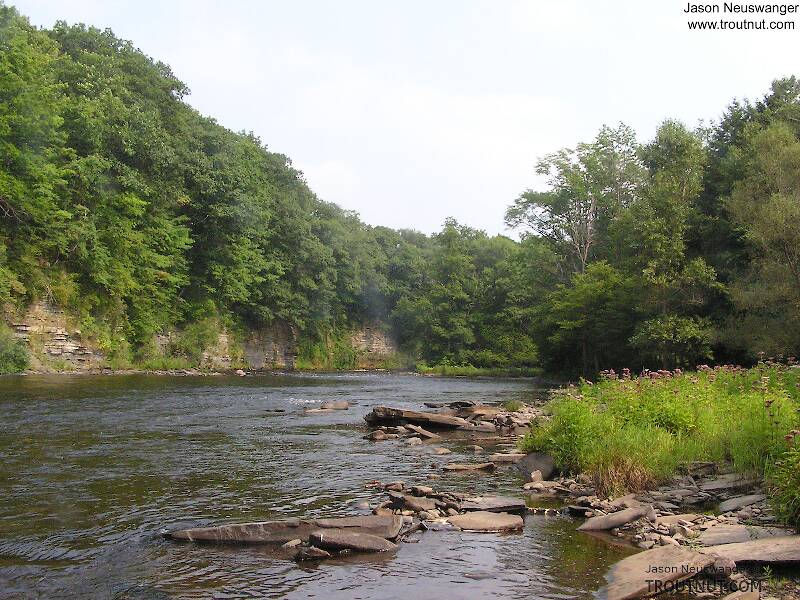 The Salmon River in New York