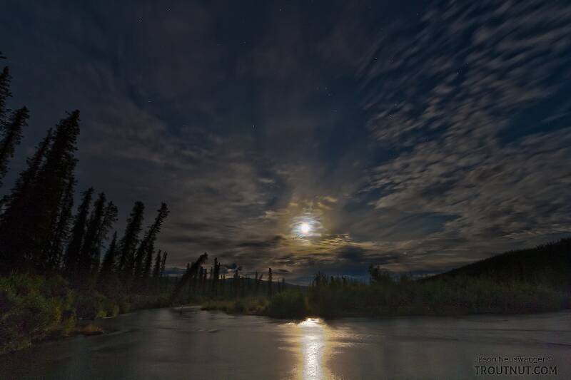 The upper Gulkana, moonlit shortly after midnight.

From the Gulkana River in Alaska