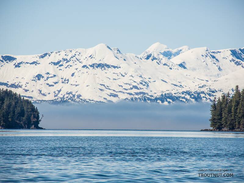 Fog out in the Port Wells arm

From Prince William Sound in Alaska