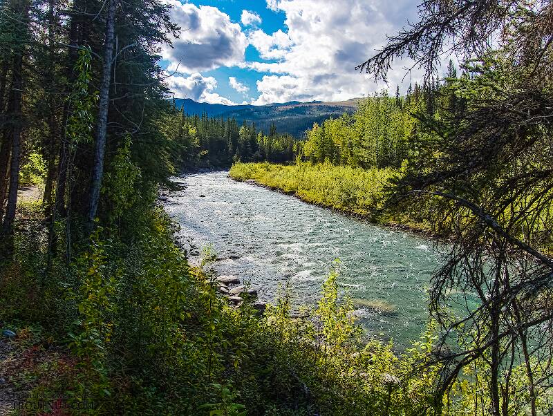 Riley Creek in Alaska