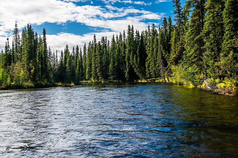 Mystery Creek # 186 in Alaska