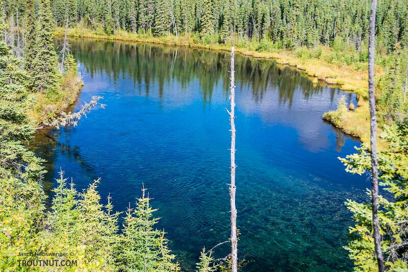 Mystery Creek # 186 in Alaska
