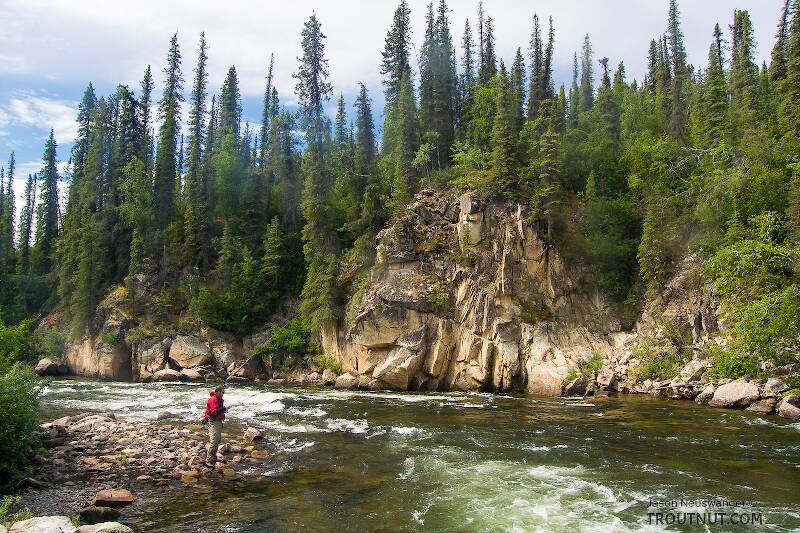 Josh fishing the tail of a big pool in the rapids

From the Gulkana River in Alaska
