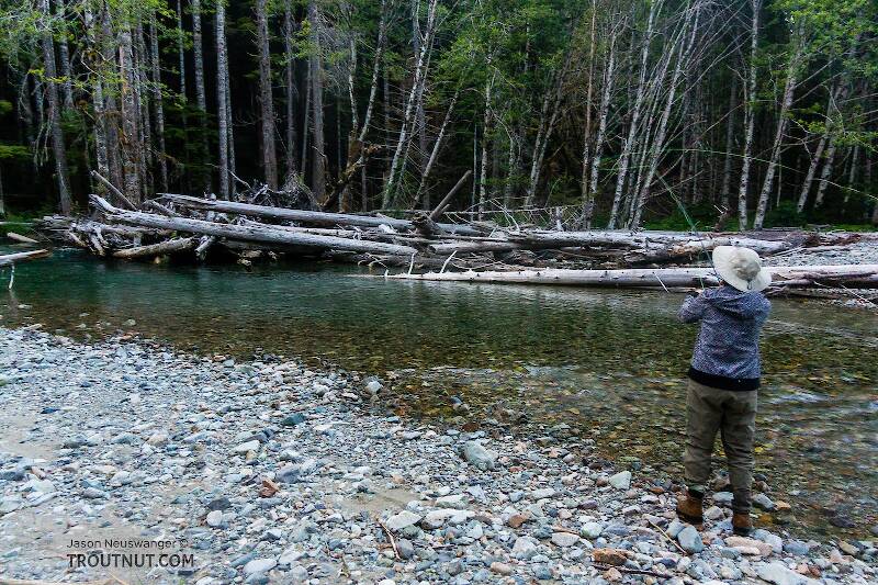 My wife Lena casting to a promising pool.

From the South Fork Sauk River in Washington