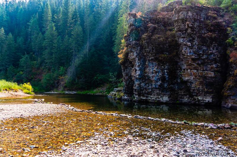 The North Fork Couer d&#039;Alene River in Idaho