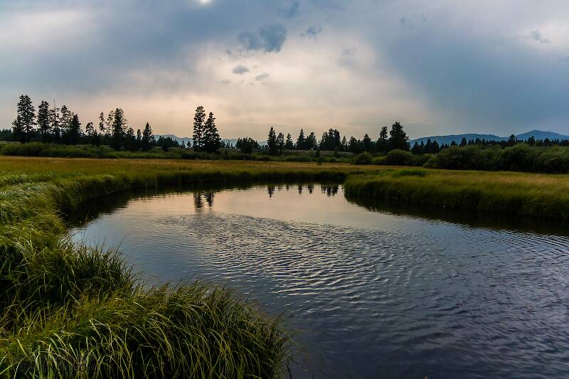 Duck Creek in Montana