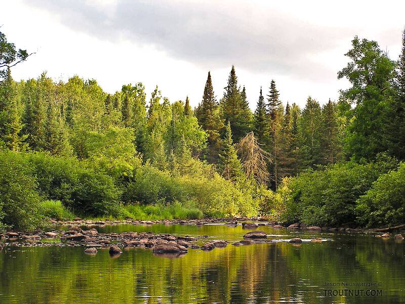 The West Fork of the Chippewa River in Wisconsin