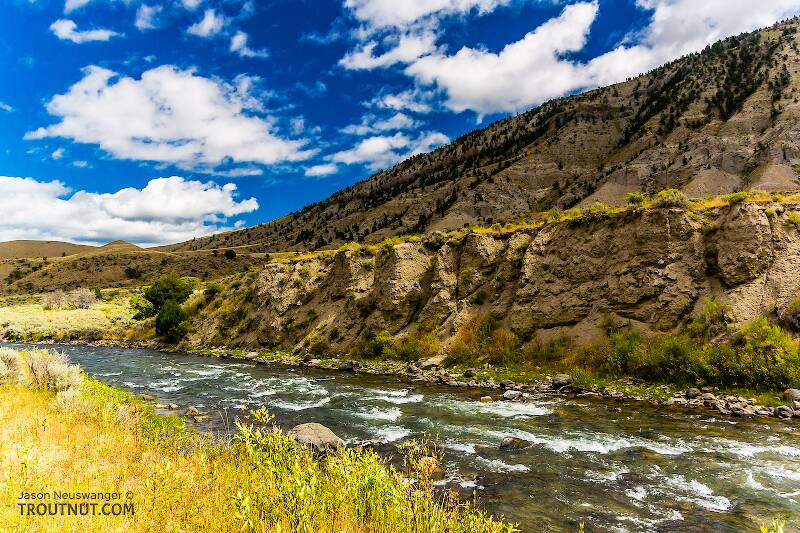 The Gardner River in Montana