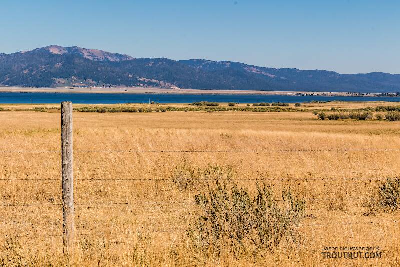 View back toward Henry's Lake from the road that heads west toward the Centennial Valley

From Henry&#039;s Lake in Idaho