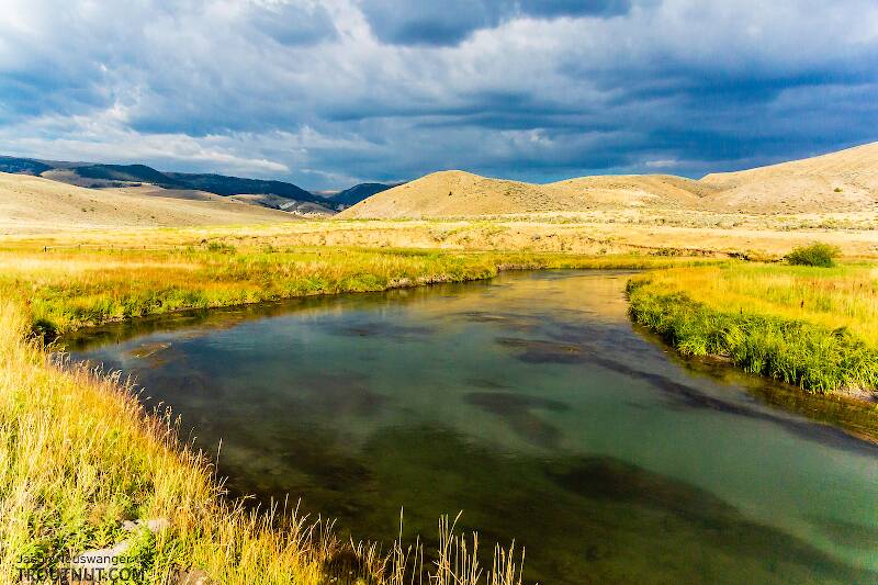 Mystery Creek # 238 in Montana
