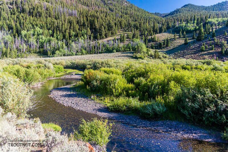 The North Fork Big Lost River in Idaho