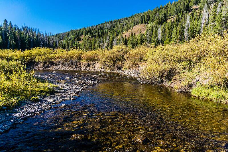 LaBarge Creek in Wyoming