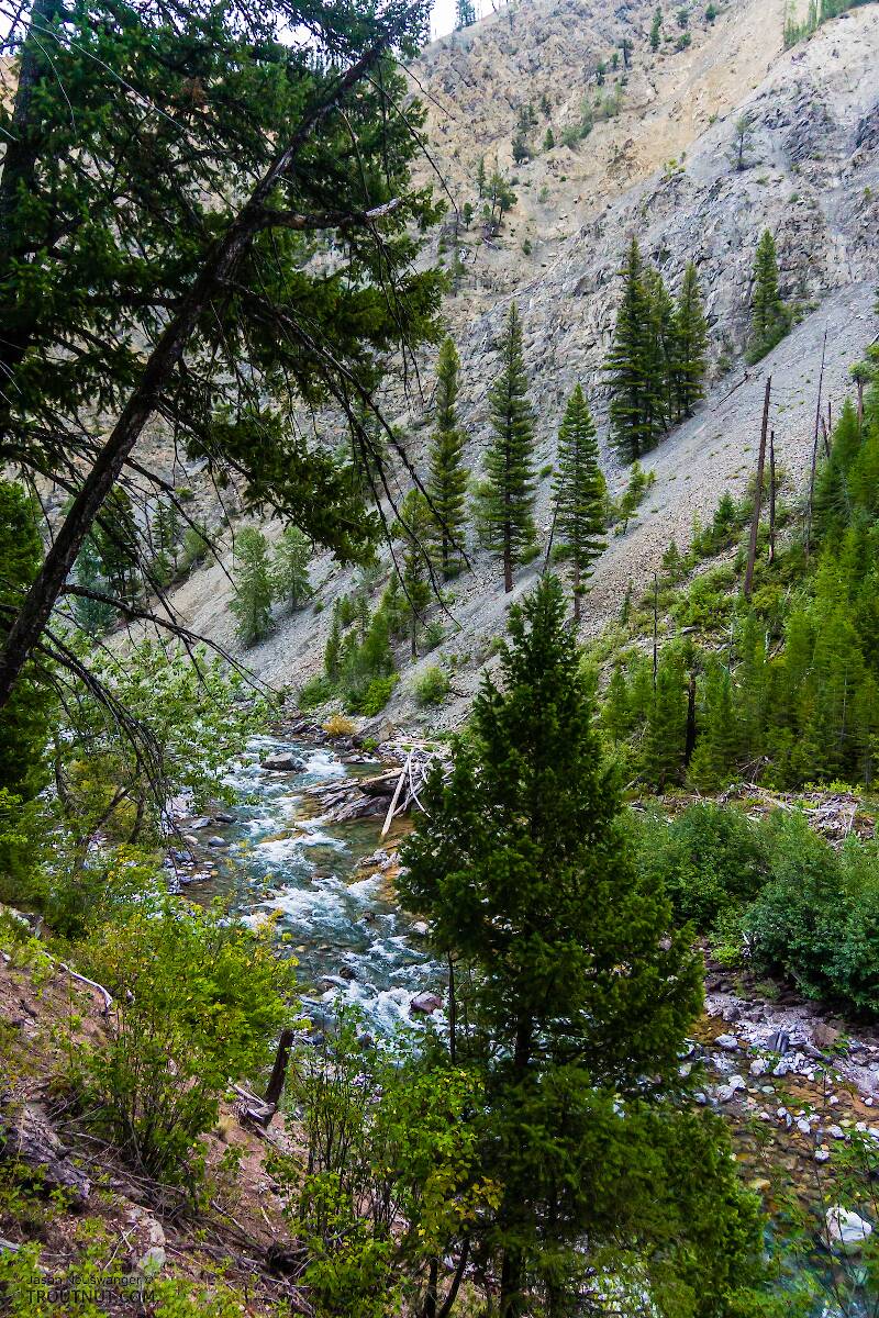 The Mystery Creek # 289 in Montana