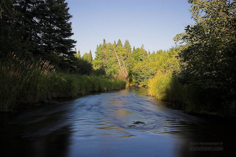 Eighteenmile Creek in Wisconsin