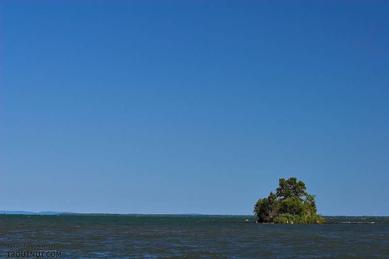 A little island holds its ground against the vastness of Lake Superior.

From Lake Superior in Wisconsin