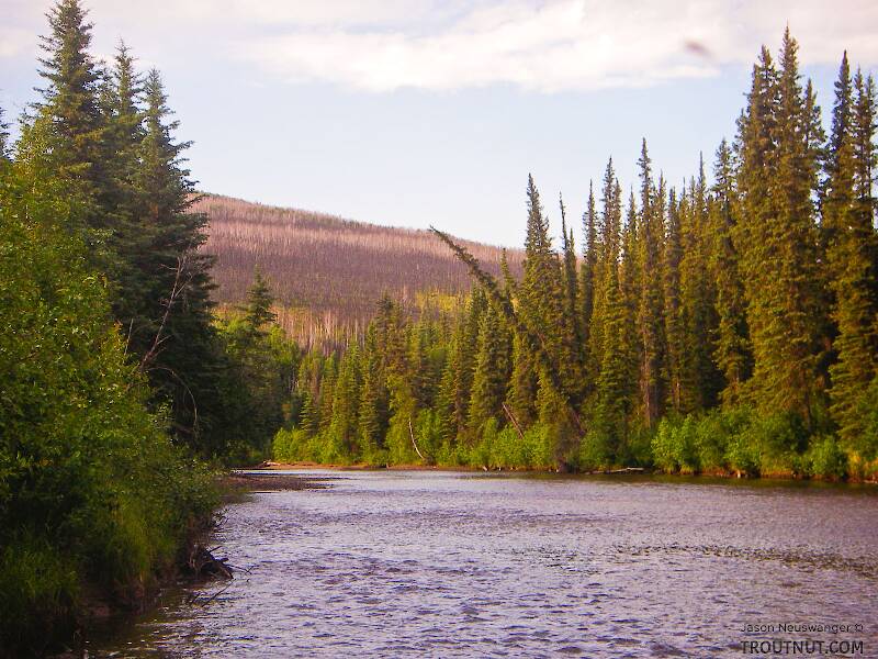 The Chatanika River in Alaska