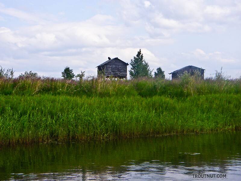 These caches are used by Alaskan natives to store supplies for pike-harvesting season in this network of sloughs and lakes.  That's a raven on top of the left one.

From Minto Flats in Alaska
