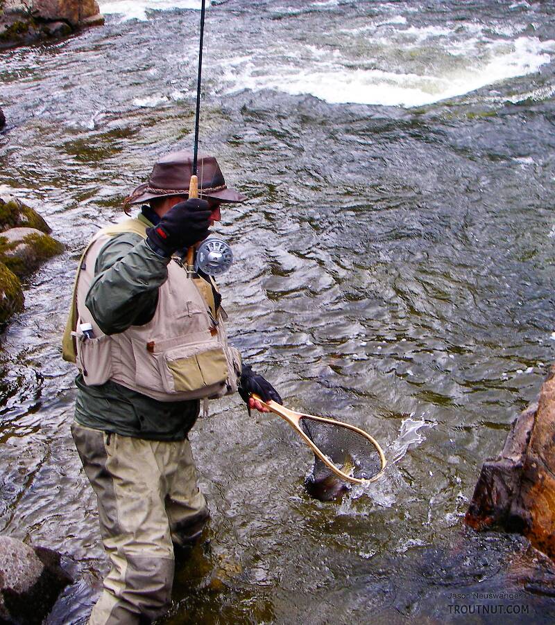 Here I'm netting a nice rainbow in the rapids.

From the Gulkana River in Alaska