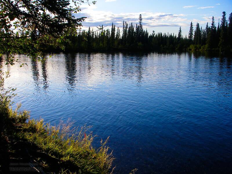 The Delta Clearwater River in Alaska