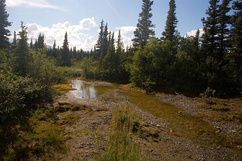 Donnelly Creek in Alaska