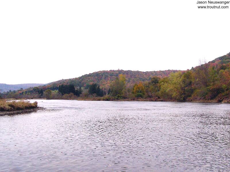 Here's a large, famous Eastern trout stream during a weekend of slow fishing in the fall.

From the West Branch of the Delaware River in New York