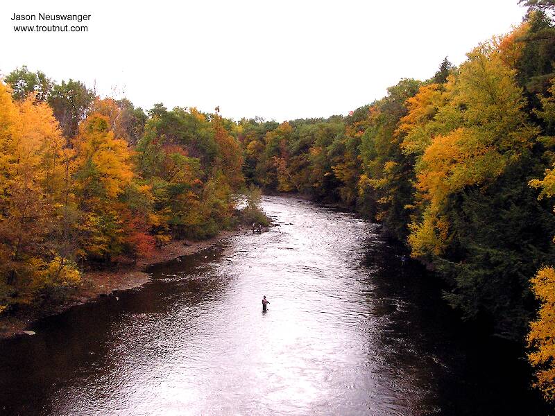 The Salmon River in New York
