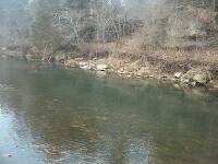 Not a great quality pic, but the possibility of finding a big brown in this pool has crossed the mind of more than one angler. I know its full of rainbows.