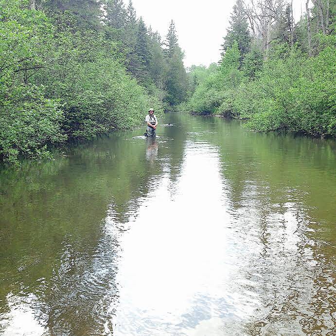 Me on one of my very most favorite stretches of trout water of my life...