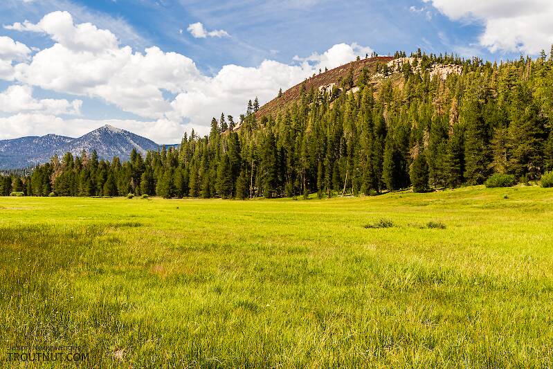 Volcano Meadow stretches out beneath the dormant cone of an old volcano deep in the Golden Trout Wilderness.