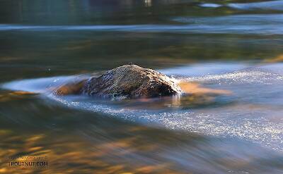 A lone fly rests upon a rock in the middle of a little brook trout stream that's catching the late afternoon sun.

From Eighteenmile Creek in Wisconsin