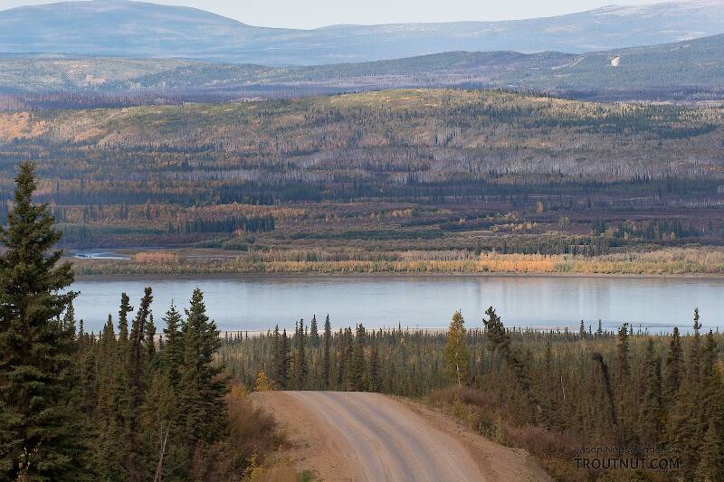 This is the first good view of the Yukon as you come up from the south.

From the Yukon River in Alaska