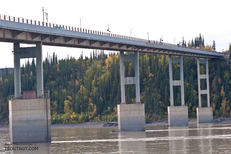 The Yukon River Bridge.  It doesn't look as intimidating from this angle as from up above when you see that it's "paved" with wood, although I trust that was a wise engineering decision given all the truck traffic and extreme weather conditions.

From the Yukon River in Alaska
