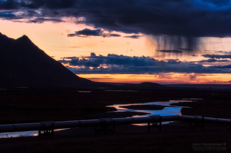 This view of the pipeline, the Atigun River, and an impressive sunset/rise was one of my first views of the North Slope as I came through Atigun Pass in the middle of the night.

From the Atigun River in Alaska