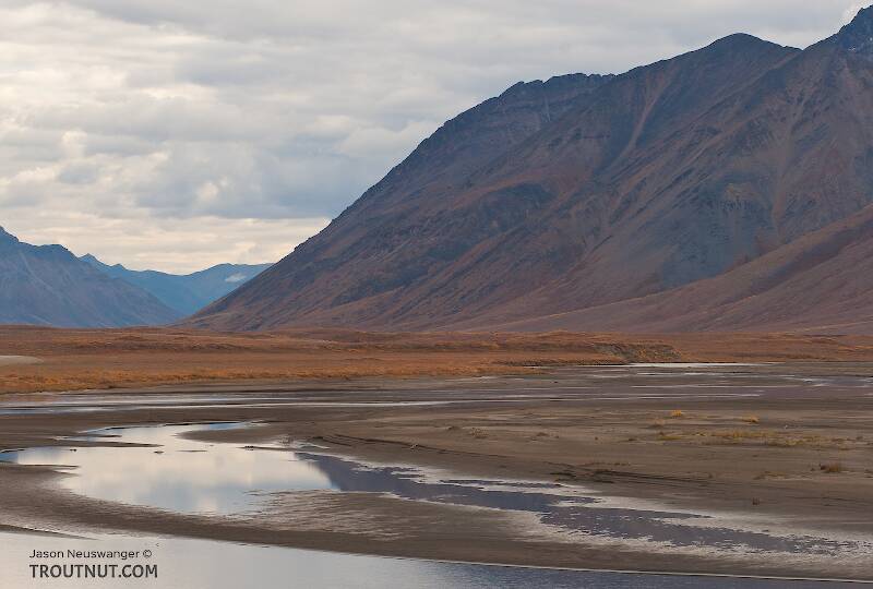 The Atigun River in Alaska