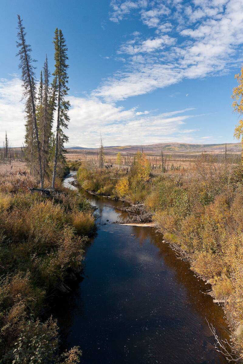 This is one of the first creeks crossed on the Dalton Highway itself, but I can't remember its name.

From Dalton Highway in Alaska