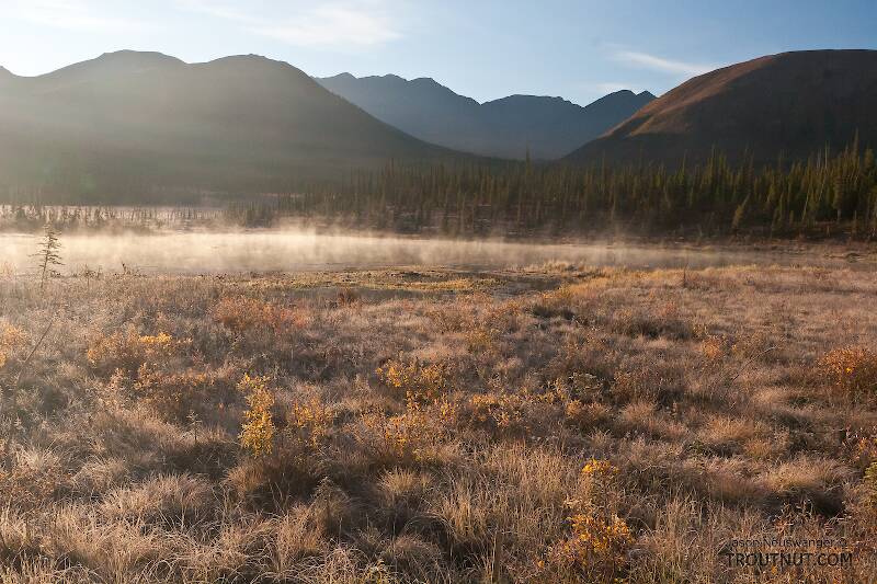 Morning mist over a little marshy pond on the south side of Atigun Pass in the Brooks Range.

From Dalton Highway in Alaska