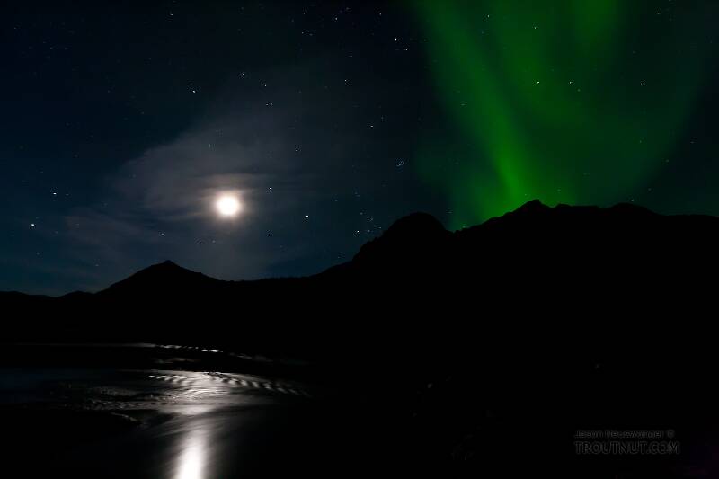 These were the first aurora I saw after moving to Alaska, rising over a mountain above the moonlit Middle Fork of the Koyukuk River in the Brooks Range above the Arctic Circle.

From the Middle Fork of the Koyukuk River in Alaska