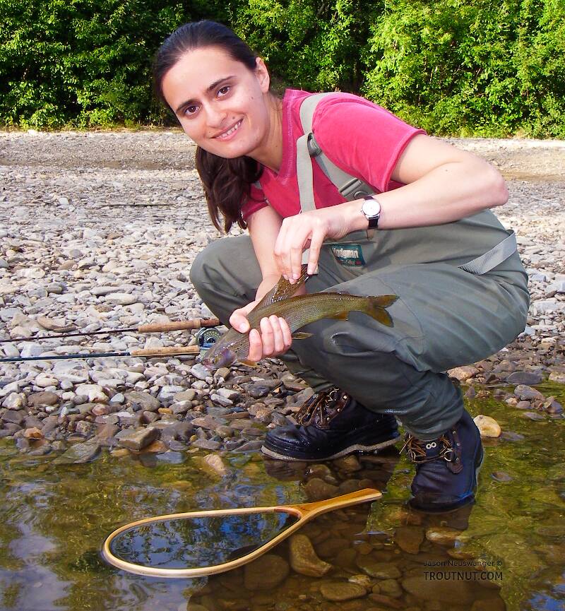 My wife's first Arctic grayling... beautiful!  And so is the fish.