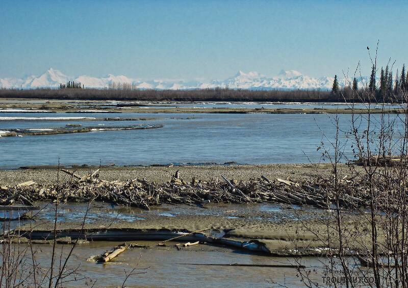 The Tanana offers several nice views of the high peaks of the Alaska Range.

From the Tanana River in Alaska