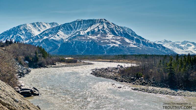 The Delta River in Alaska