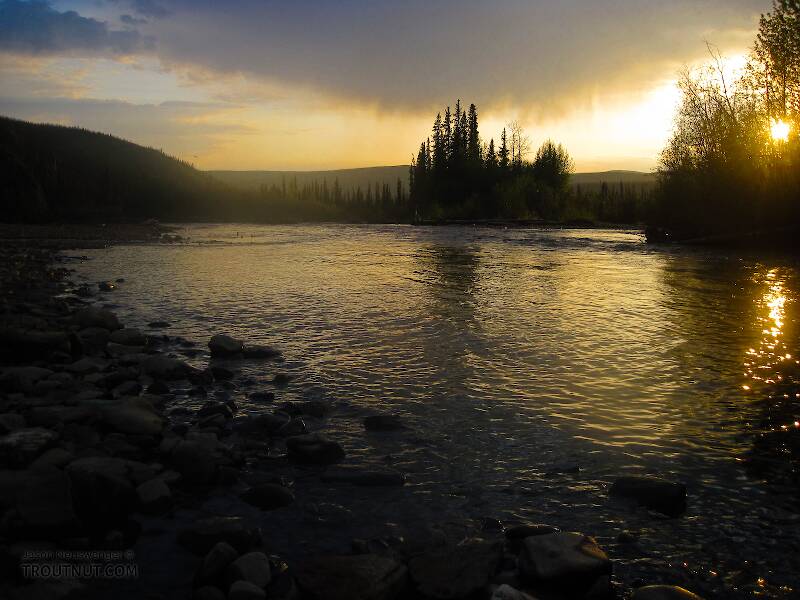 The Chatanika River in Alaska