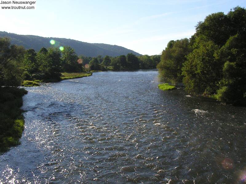 This is one of the most famous trout streams in the country.

From the West Branch of the Delaware River in New York
