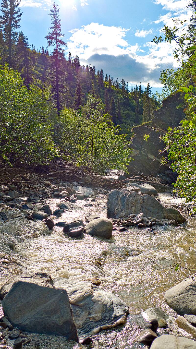 Ruby Creek in Alaska