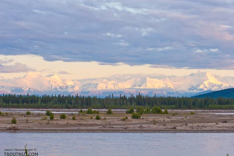 The Tanana River in Alaska