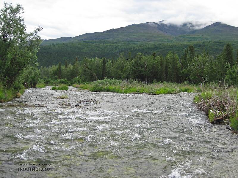 The Gulkana River in Alaska