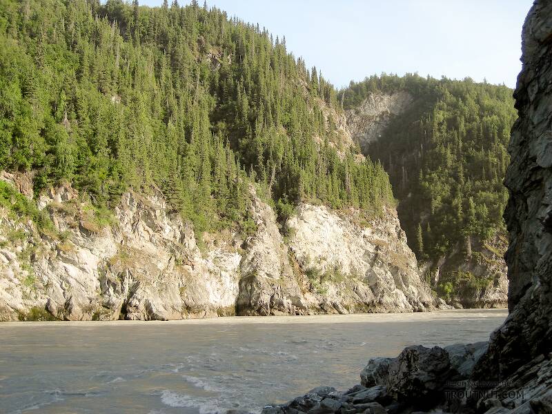 The Copper River is often over a mile wide, but the dipnetting almost all takes place in this narrow canyon below the confluence with the Chitina River.  Here the river squeezes into a deep, fast, turbulent rapids that funnels fish through a narrow area and forces them to hug the banks where anglers can reach them.

From the Copper River in Alaska