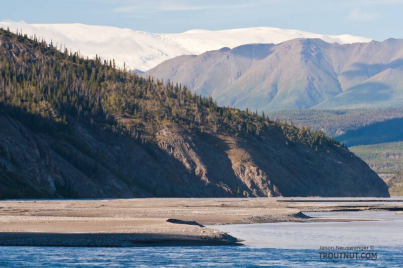I like this one.  Glacial river, taiga, tundra, and the perpetual ice cover of a massive high ridge dozens of miles away in the Wrangell Mountains.

From the Copper River in Alaska