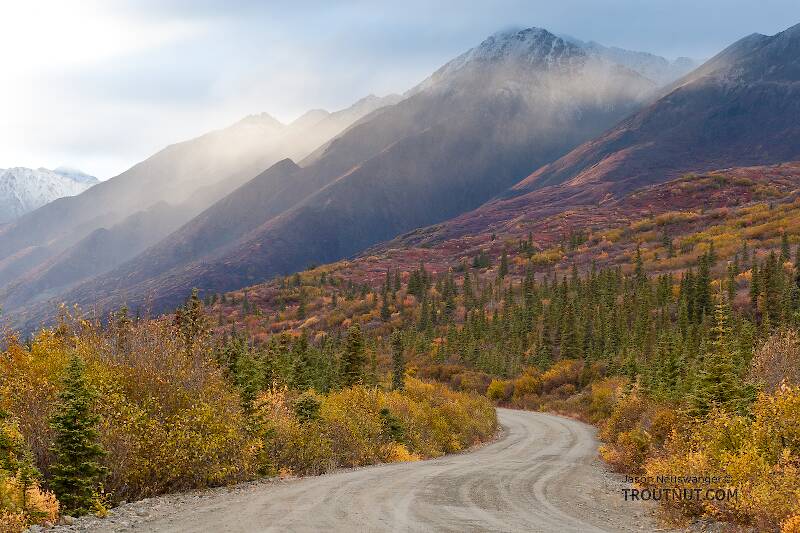Clearwater Mountains. This general area was the site of much of my frantic hunting action on the last day of the season, at morning and dusk.

From Denali Highway in Alaska
