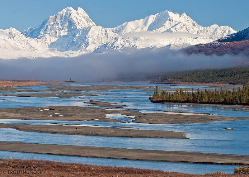 Mount Deborah and Hess Mountains. Two of the greatest peaks of the Alaska Range rise behind the braided, glacial Susitna River.  These massive mountains are 35 miles north of where I took this picture.

From the Susitna River in Alaska