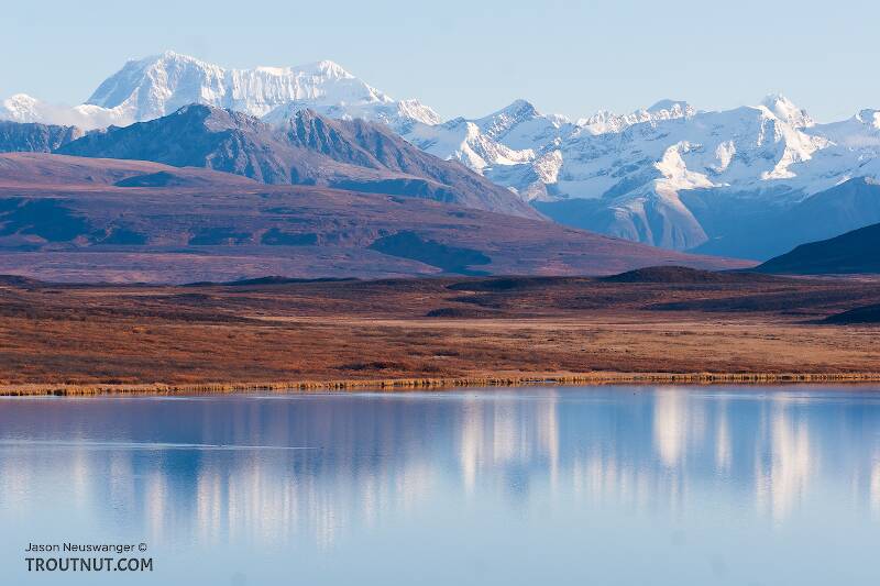 50-Mile Lake on upper Osar Creek. In the background, 13,382-foot high Mount Hayes towers over the rest of the Alaska Range.  It is the highest peak in the range east of Denali itself.

From Denali Highway in Alaska